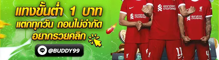 @buddy99