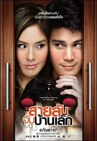 ดูหนังออนไลน์ สายลับจับบ้านเล็ก The Bedside Detective 2007