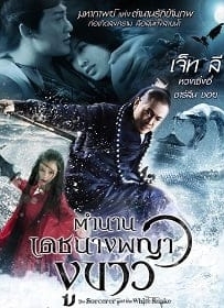ดูหนังออนไลน์ The Sorcerer and the White Snake (2011) ตำนานเดชนางพญางูขาว