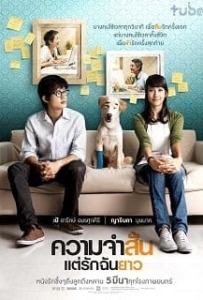 ดูหนังออนไลน์ ความจำสั้น..แต่รักฉันยาว (2009) Best in Time