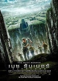 ดูหนังออนไลน์ The Maze Runner เมซ รันเนอร์ วงกตมฤตยู [HD]