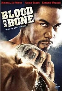 ดูหนังออนไลน์ Blood and Bone (2009) โคตรคนกำปั้นสั่งตาย