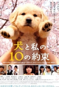 ดูหนังออนไลน์ 10 Promises to My Dog (2008) 10 ข้อสัญญาน้องหมาของฉัน