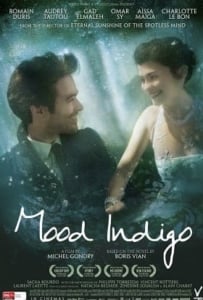 ดูหนังออนไลน์ Mood Indigo (2013) รักนี้มหัศจรรย์