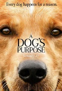 ดูหนังออนไลน์ A Dog’s Purpose (2017) หมา เป้าหมาย และเด็กชายของผม