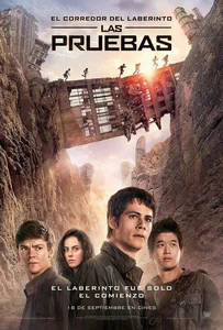 ดูหนังออนไลน์ Maze Runner 2 The Scorch Trials (2015) วงกตมฤตยู ภาค 2 สมรภูมิมอดไหม้