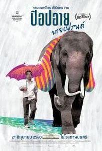 ดูหนังออนไลน์ Pop Aye (2017) ป๊อปอาย มายเฟรนด์