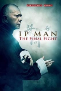 ดูหนังออนไลน์ Ip Man The Final Fight (2013) หมัดสุดท้าย ปรมาจารย์ยิปมัน