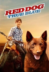ดูหนังออนไลน์ Red Dog True Blue (2016)