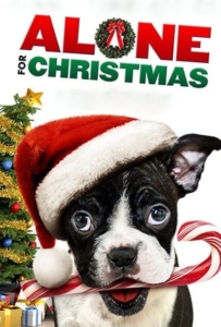 ดูหนังออนไลน์ Alone for Christmas (2013) แก๊งน้องหมาโดดเดี่ยวผู้น่ารัก