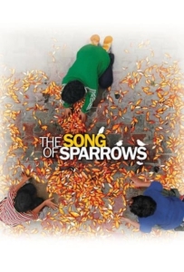 ดูหนังออนไลน์ The Song of Sparrows (Avaze gonjeshk-ha) (2008)