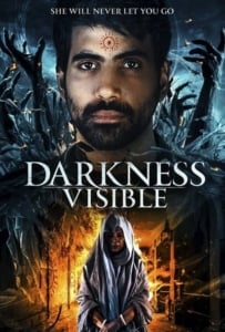 ดูหนังออนไลน์ Darkness Visible (2019)