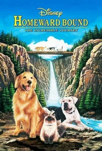 ดูหนังออนไลน์ Homeward Bound: The Incredible Journey (1993) สองหมาหนึ่งแมว ใครจะพรากเราไม่ได้