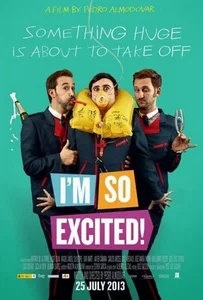 ดูหนังออนไลน์ I’m So Excited! (2013) ไฟลท์แสบแซ่บเหมาลำ