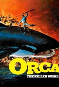 ดูหนังออนไลน์ Orca The Killer Whale (1977) ออร์ก้า ปลาวาฬเพชฌฆาต