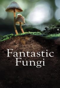 ดูหนังออนไลน์ Fantastic Fungi (2019) เห็ดมหัศจรรย์