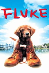 ดูหนังออนไลน์ Fluke (1995) เกิดใหม่กลายเป็นหมา