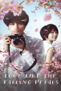 ดูหนังออนไลน์ Love Like the Falling Petals (2022) ใบไม้ผลิที่ไม่มีเธอเป็นซากุระ