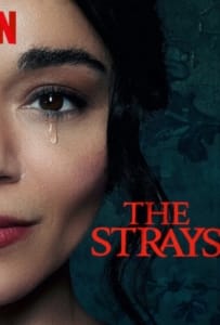 ดูหนังออนไลน์ The Strays (2023) คนหลงทาง