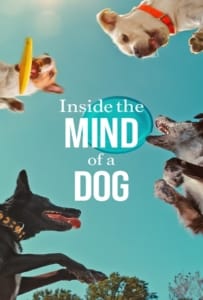 ดูหนังออนไลน์ Inside the Mind of a Dog (2024) อ่านใจสุนัข